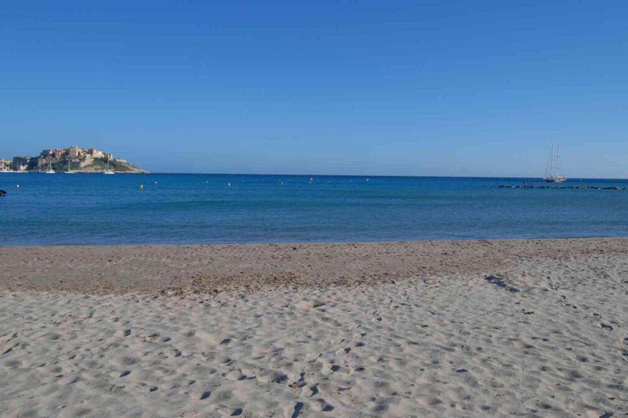Location De Vacances Olivier Jardin Privatif Et Piscine Chauffee Partagee 卡尔维 外观 照片