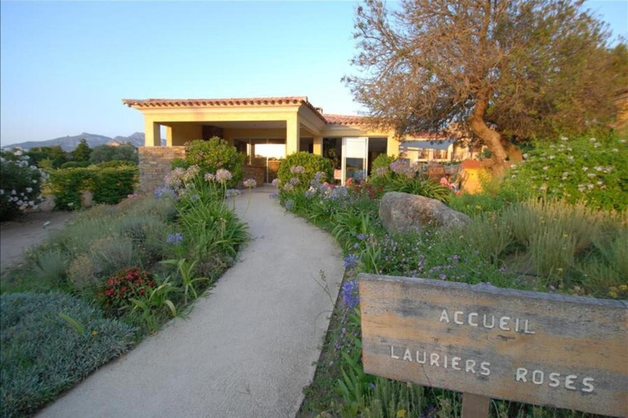 Location De Vacances Olivier Jardin Privatif Et Piscine Chauffee Partagee 卡尔维 外观 照片